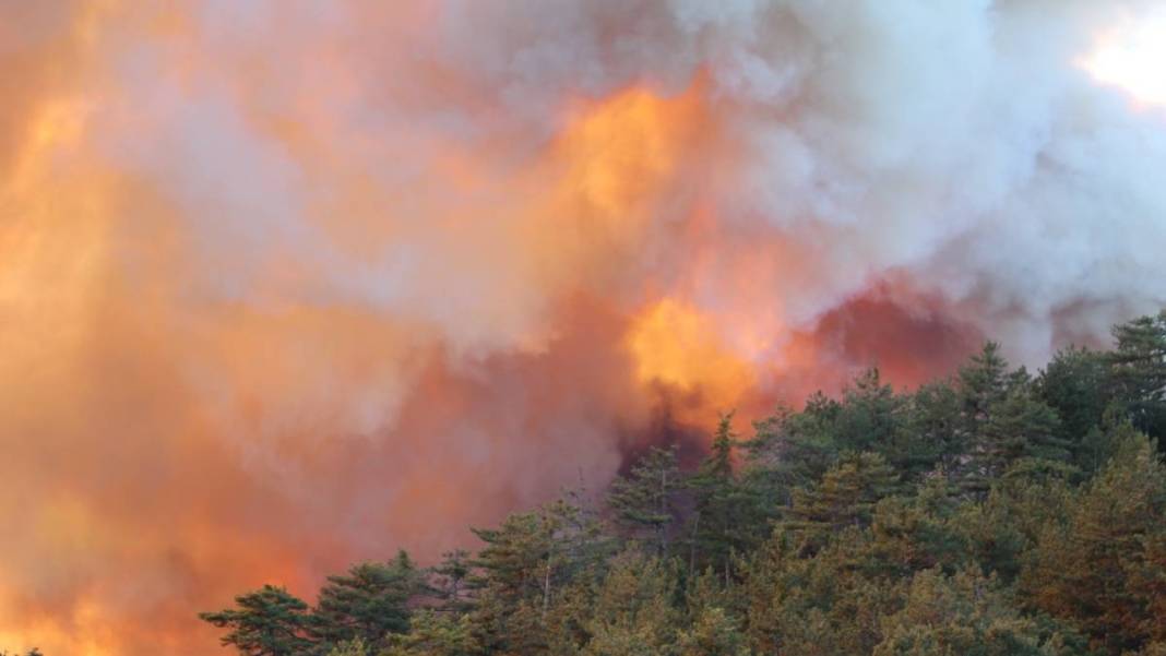 Bolu'da orman yangını 2'nci gününde! Alevler 100 hektarlık alana yayıldı 1